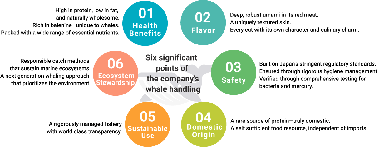 Six significant points of the company's whale handling